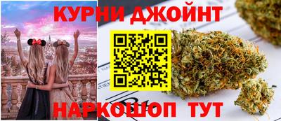 a pvp Кингисепп