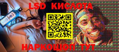 a pvp Кингисепп