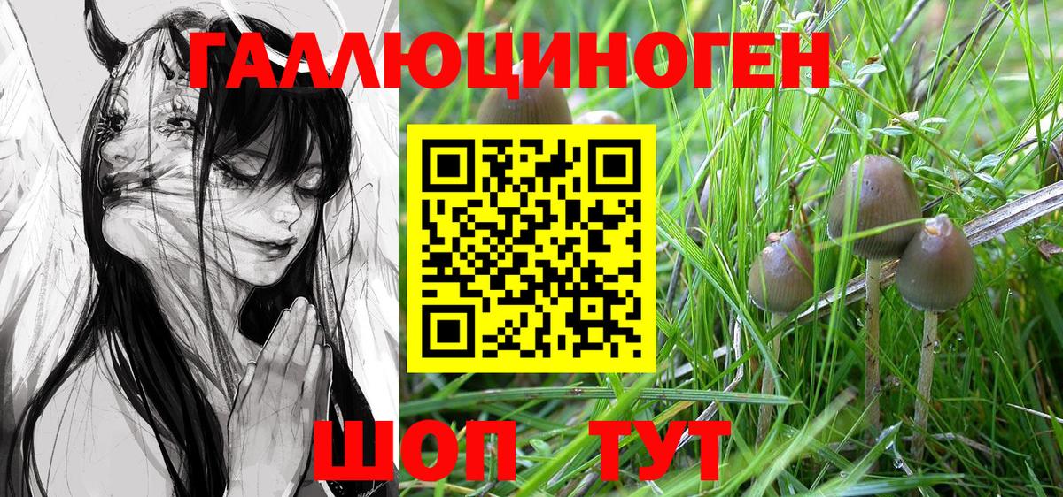 Псилоцибиновые грибы Magic Shrooms Клинцы